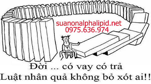 Luật nhân quả trong kinh doanh - Suanonalphalipid.net