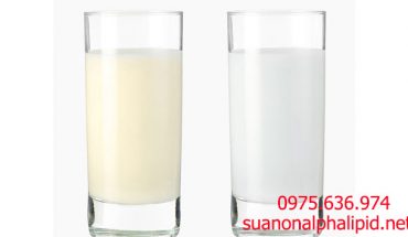 phân-biệt-sữa-non-và-sữa-thường