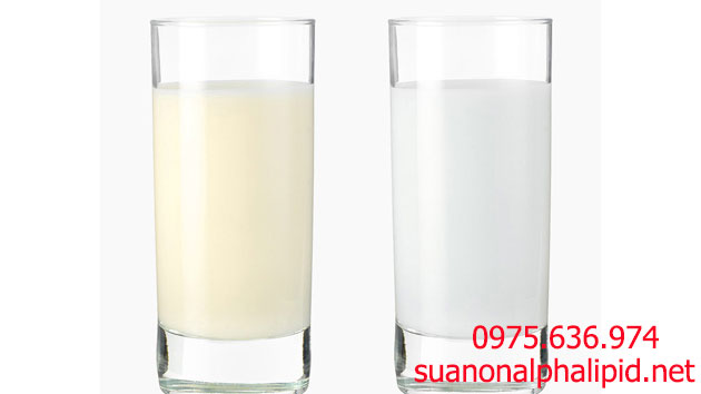 Sữa non (trái) - sữa thông thường (phải)